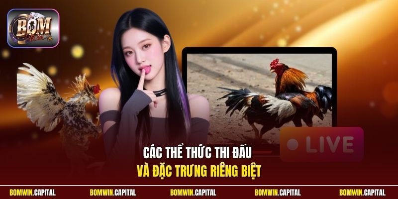Các thể thức thi đấu và đặc trưng riêng biệt