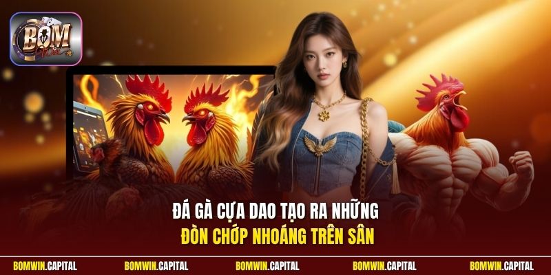 Đá gà cựa dao tạo ra những đòn chớp nhoáng trên sân