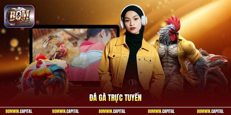 Đá Gà Trực Tuyến - Trải Nghiệm Kê Đấu Đỉnh Cao Cùng Bomwin